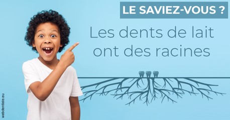 https://docteur-alexandre-benoit-lentrebecq.chirurgiens-dentistes.fr/Les dents de lait 2