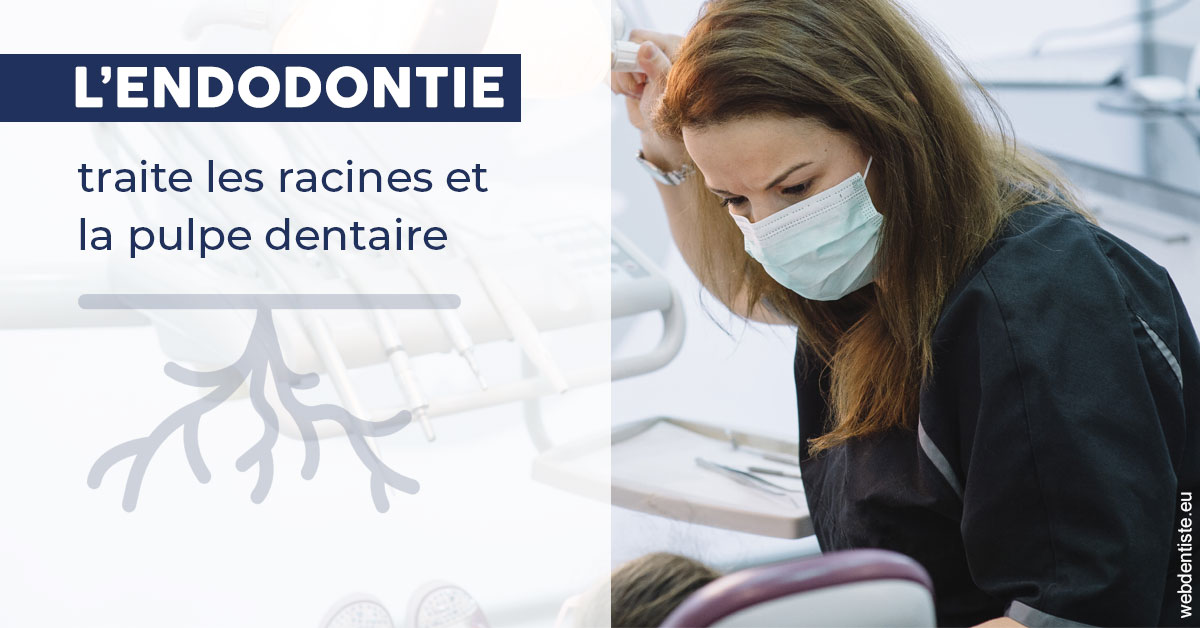 https://docteur-alexandre-benoit-lentrebecq.chirurgiens-dentistes.fr/L'endodontie 1