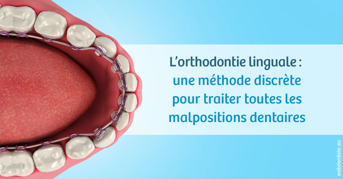 https://docteur-alexandre-benoit-lentrebecq.chirurgiens-dentistes.fr/L'orthodontie linguale 1