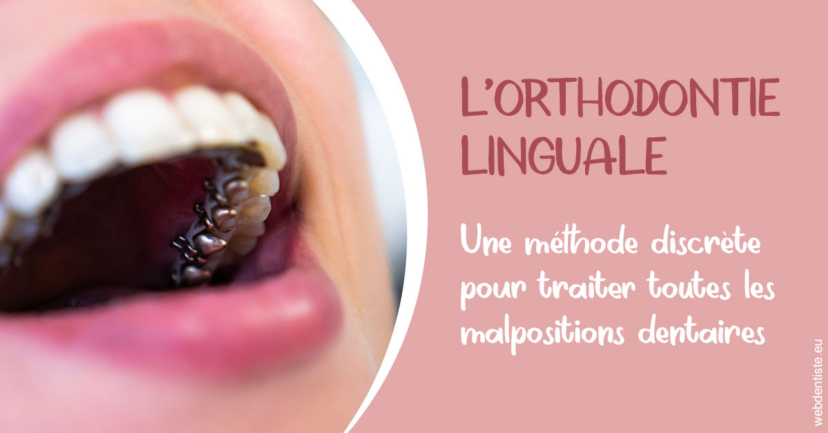 https://docteur-alexandre-benoit-lentrebecq.chirurgiens-dentistes.fr/L'orthodontie linguale 2