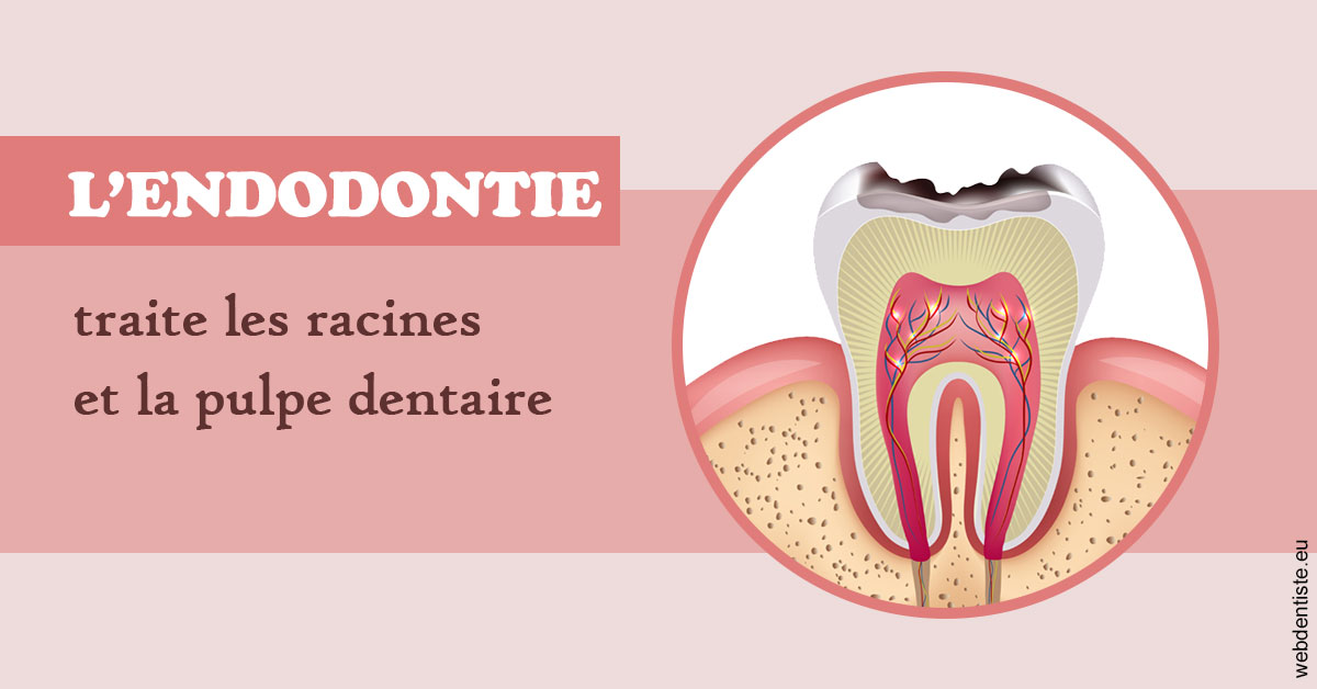 https://docteur-alexandre-benoit-lentrebecq.chirurgiens-dentistes.fr/L'endodontie 2
