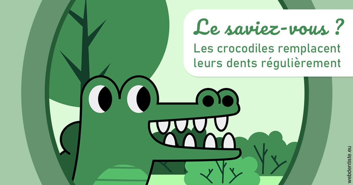 https://docteur-alexandre-benoit-lentrebecq.chirurgiens-dentistes.fr/Crocodiles 2