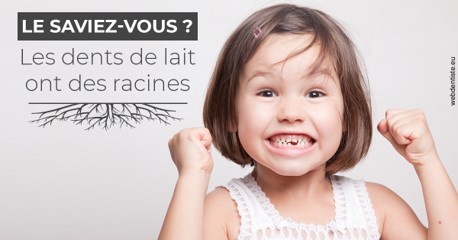 https://docteur-alexandre-benoit-lentrebecq.chirurgiens-dentistes.fr/Les dents de lait