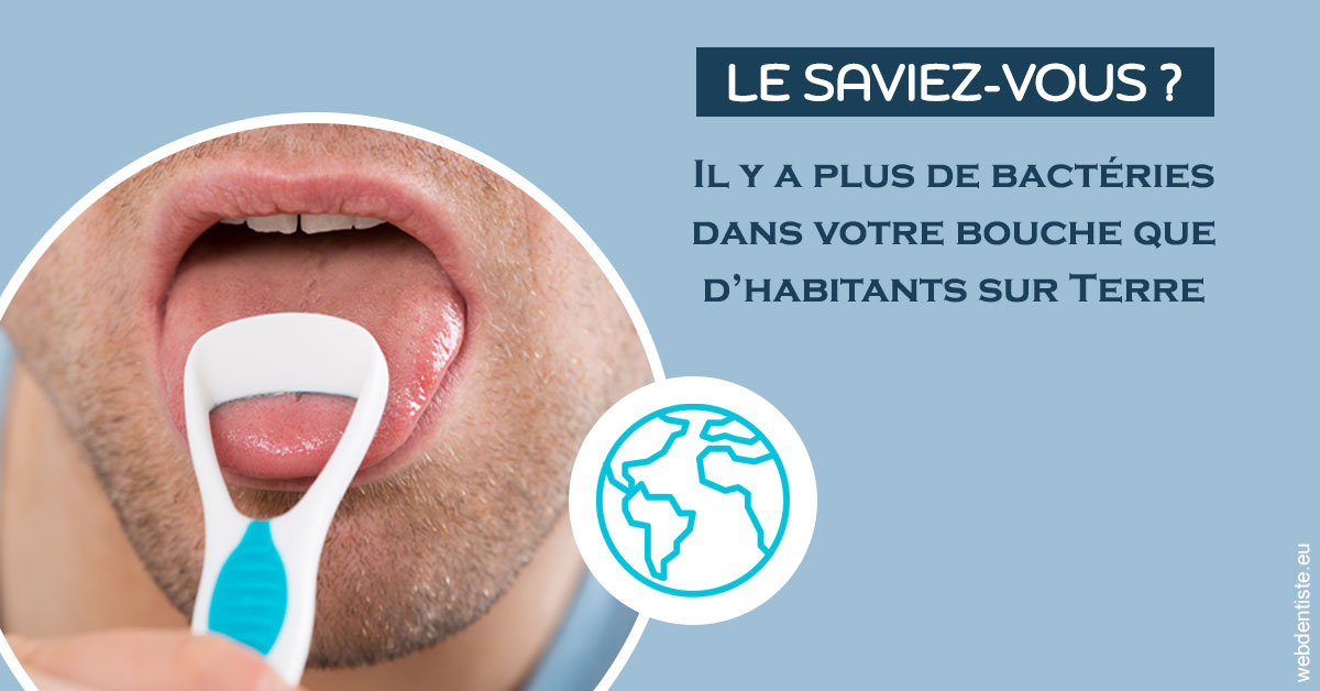 https://docteur-alexandre-benoit-lentrebecq.chirurgiens-dentistes.fr/Bactéries dans votre bouche 2