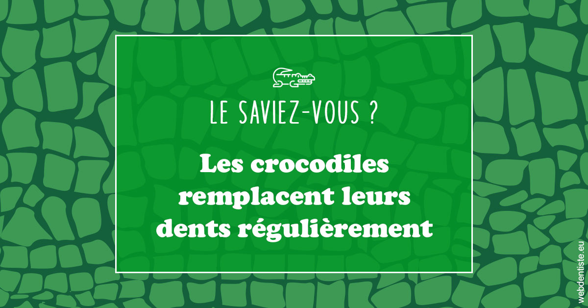 https://docteur-alexandre-benoit-lentrebecq.chirurgiens-dentistes.fr/Crocodiles 1